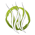 Willow Springs Whole Pure Emu Oil