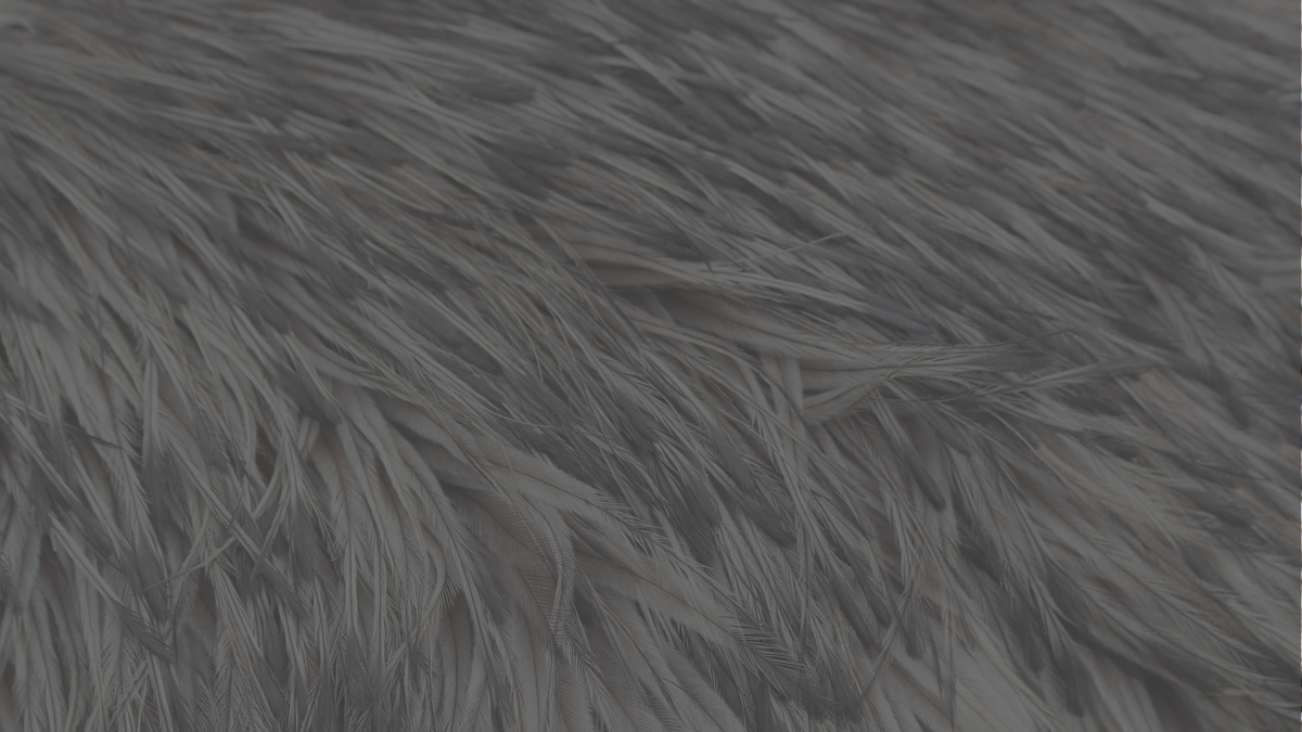 AEA Certified emu oil