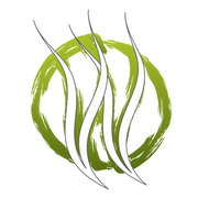 Willow Springs Whole Pure Emu Oil