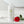Image Squish optimized image