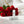 Image Squish optimized image